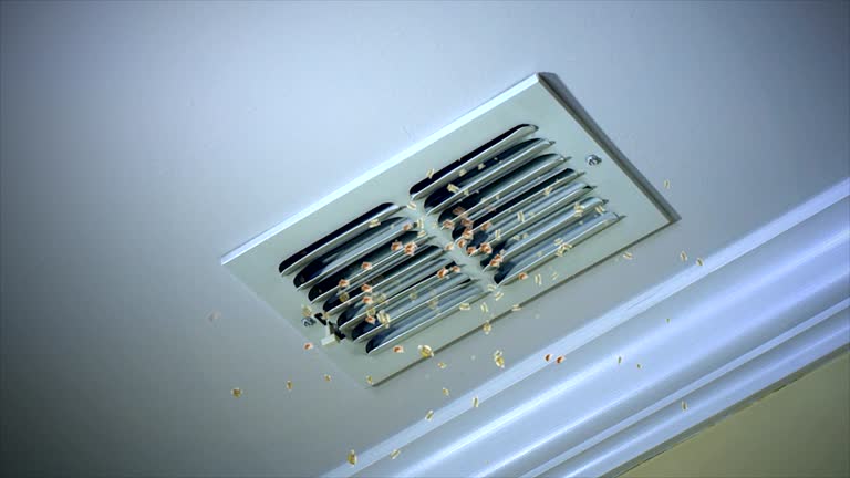 Best Home Air Vent Cleaning  in Cocoa Beach, FL
