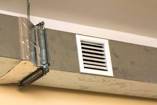 Best Air Duct Mold Removal  in Cocoa Beach, FL